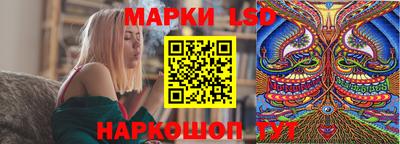 стаф Камышлов