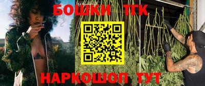 стаф Камышлов