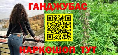 стаф Камышлов