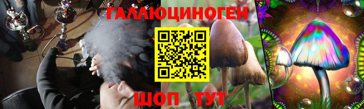 Галлюциногенные грибы Psilocybine cubensis Луховицы